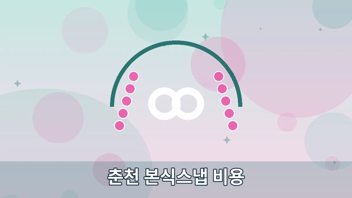 춘천 본식스냅 비용 안내 이미지 4