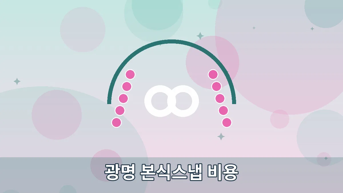 광명 본식스냅 비용 안내 이미지 4